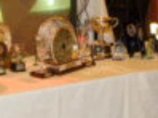 SBC-201.jpg